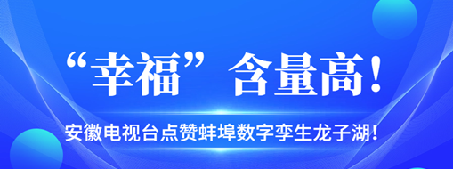?“幸?！焙扛?，安徽電視臺點贊蚌埠數(shù)字孿生龍子湖！